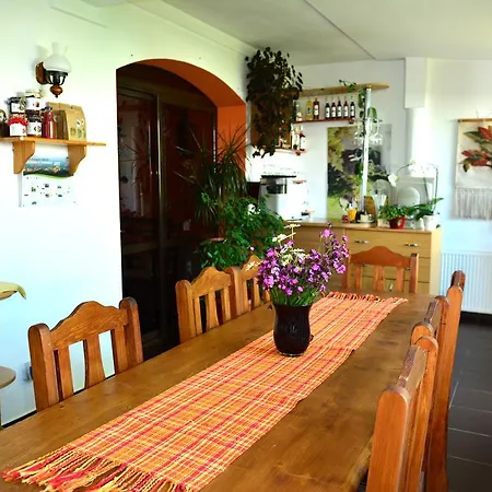 Pensiunea Anita 3* Haţeg