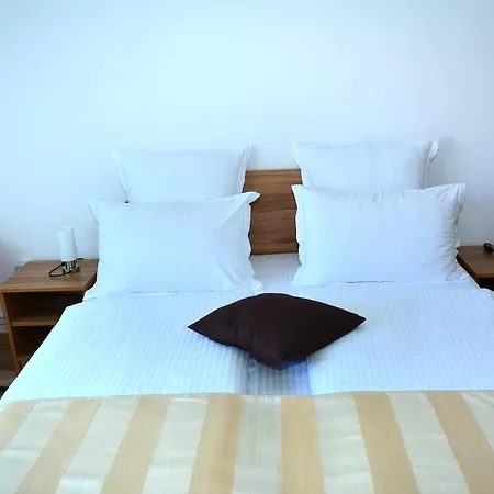 Pensjonat Pensiunea Anita 3*